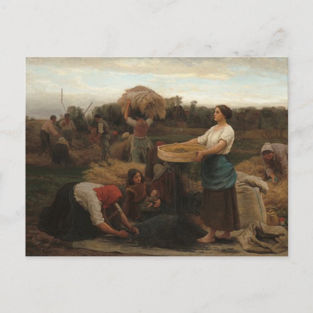 Carte Postale Femmes paysannes récoltant des graines de colza pa (Devant)