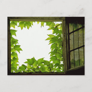 Carte postale Fenêtre