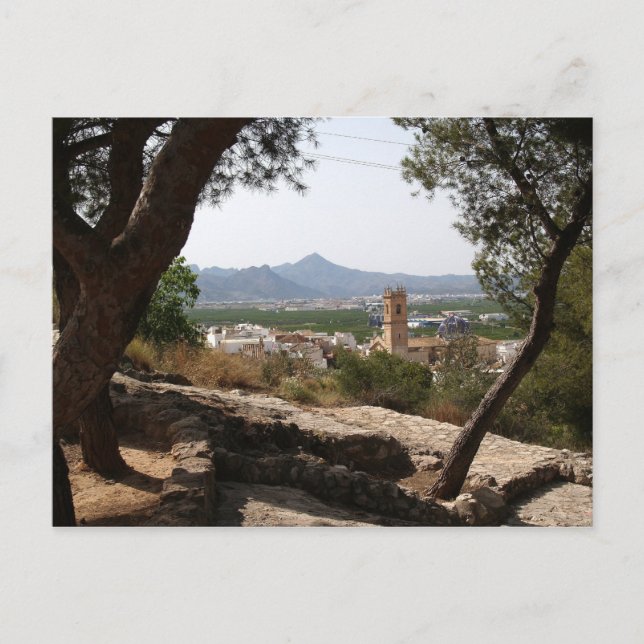 Carte Postale Fenêtre à travers les arbres. (Devant)