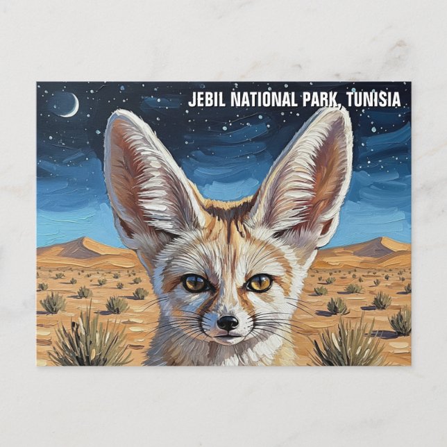 Carte Postale Fennec Fox dans le Parc National Jebil Tunisie (Devant)