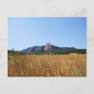 Carte Postale Fer plat
