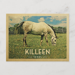 Carte Postale Ferme de Killeen Texas Horse -Vintage voyage