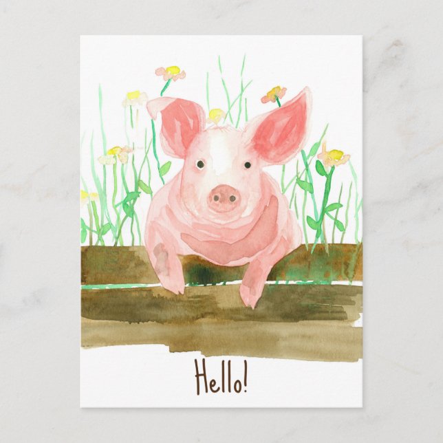 Carte Postale Ferme de porcs Animaux Barnyard Fleurs sauvages de (Devant)