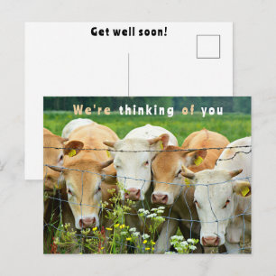Carte Postale Ferme de Ranch Guérissez Bientôt Fleurs de Campagn