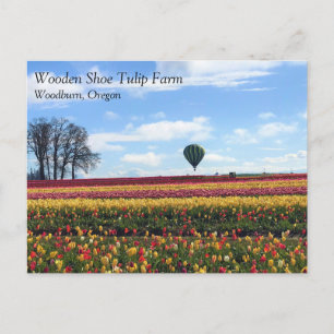 Carte Postale Ferme de tulipes en bois, Bois, Oregon