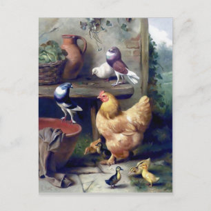 Carte Postale Ferme d'oiseaux, canetons, pigeons, peinture