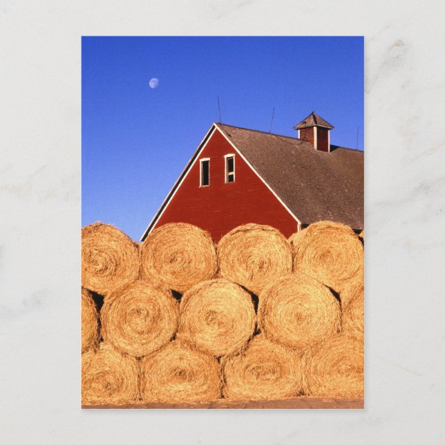 Carte Postale Ferme en Iowa (Devant)