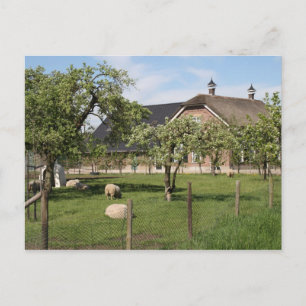 Carte Postale ferme néerlandaise