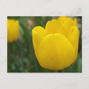 Carte Postale Fermer et personnel