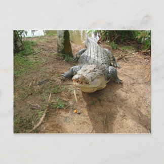 Carte Postale Fermer l'appel