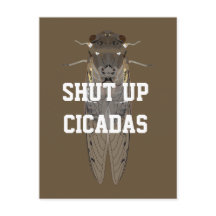 Fermer les Cicadas