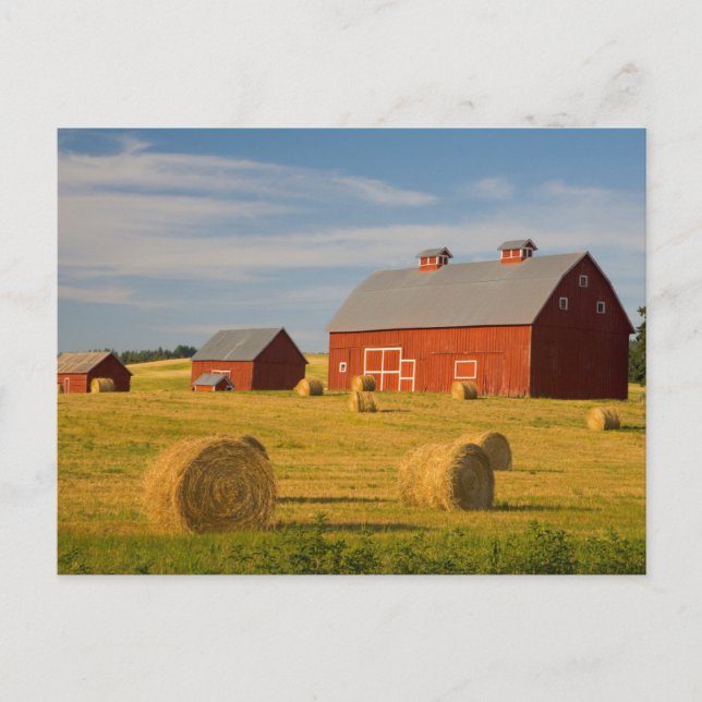 Carte Postale Fermes | Barres rouges près de balles de foin (Devant)
