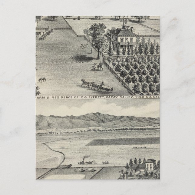 Carte Postale Fermes, Capay Valley, Madison (Devant)