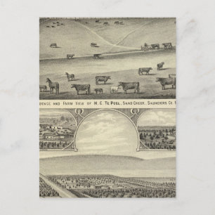 Carte Postale Fermes du comté de Saunders, Nebraska