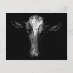 Carte Postale Fermes Tête de vache B&W