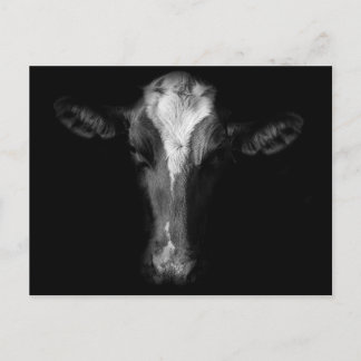 Carte Postale Fermes | Tête de vache B&W