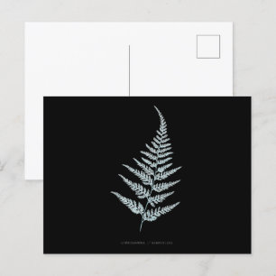 Carte Postale Fern - Gymnogramma L’herminieri. Effet de rayons X