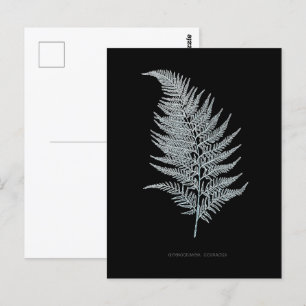 Carte Postale Fern - Gymnogramma Ochracea - Effet rayons X - 02