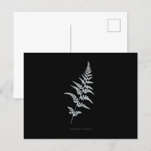 Carte Postale Fern - Gymnogramma Sulphurée - Effet de rayons X -