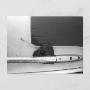 Carte Postale Ferroviaire à feuilles et à poignées