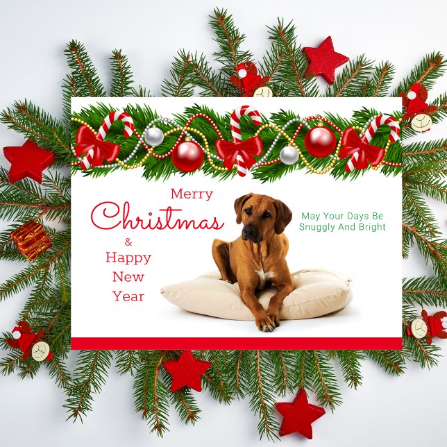 Carte postale Festin Rhodesian Ridgeback Christmas (Rhodesian Ridgeback Christmas Card)
