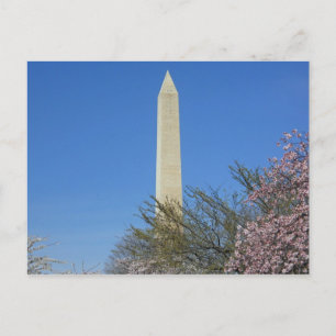 Carte Postale Festival Cherry Blossom du Monument de Washington