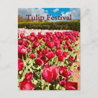 Carte Postale Festival des tulipes, Dandenong Ranges, Victoria
