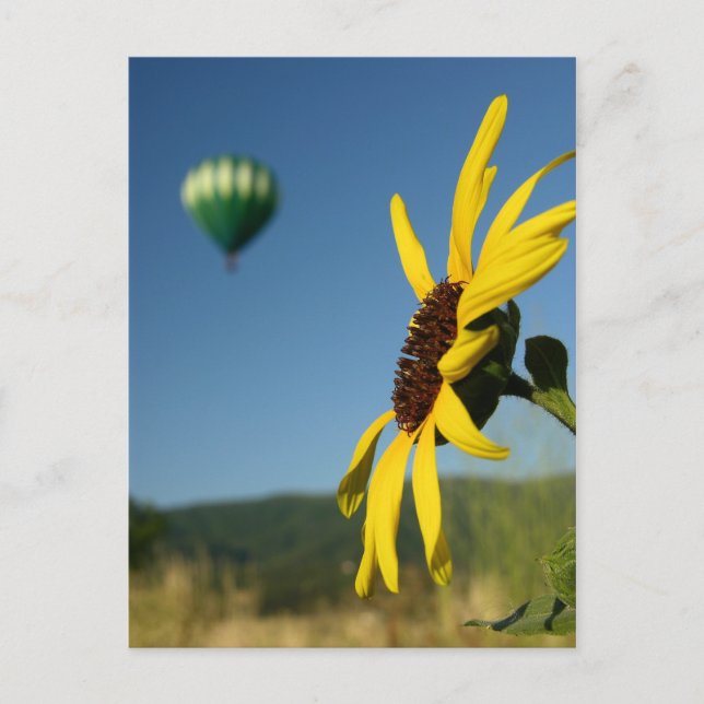 Carte Postale Festival du ballon (Devant)