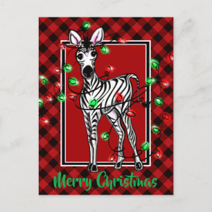 Carte Postale Festive Holiday Zebra Holly couronne rouge plaid