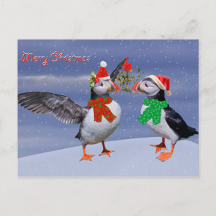 Carte postale Festive Puffins