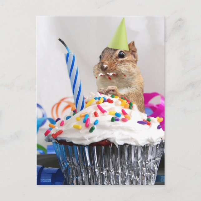 Carte Postale fête d'anniversaire de chipmunk (Devant)