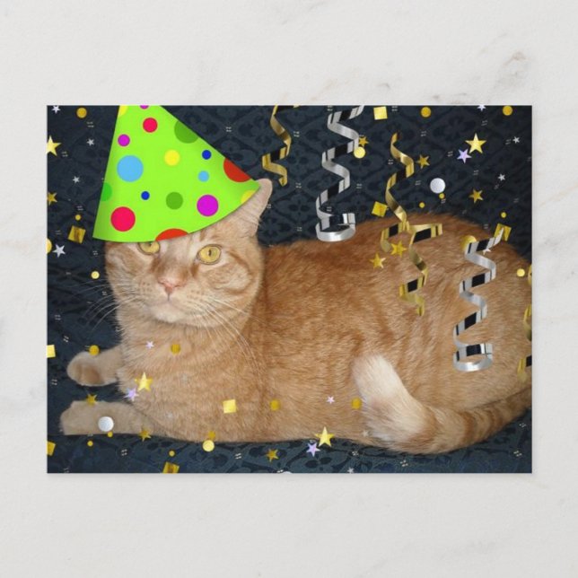 Carte Postale Fête d'anniversaire Orange Tabby Cat (Devant)