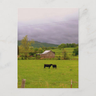 Carte Postale Fête de la tempête