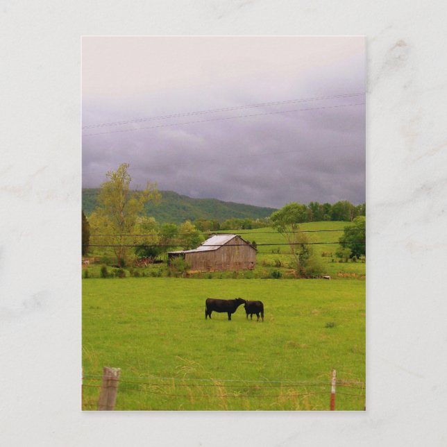 Carte Postale Fête de la tempête (Devant)