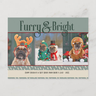 Carte postale Fête de Noël de Chien brillant et Fu