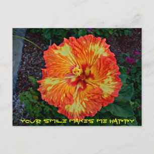 Carte Postale Fête de pétard Hibiscus