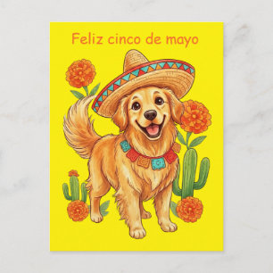 Carte Postale Fête de Pup Golden Retriever Cinco de Mayo