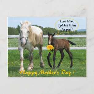 Carte Postale Fête des Mères Horsy