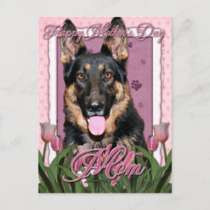 Carte Postale Fête des mères - Tulipes roses - Berger allemand -