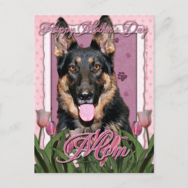 Carte Postale Fête des mères - Tulipes roses - Berger allemand - (Devant)