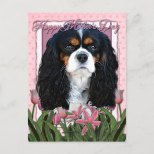 Carte Postale Fête des mères - Tulipes roses - Cavalier - Tri-Co