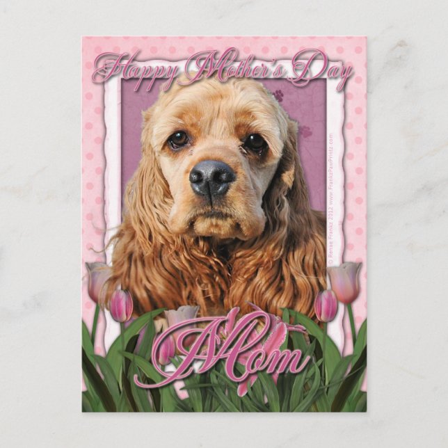 Carte Postale Fête des mères - Tulipes roses - Cocker Spaniel (Devant)