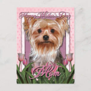 Carte Postale Fête des mères - Tulipes roses - Yorkshire Terrier