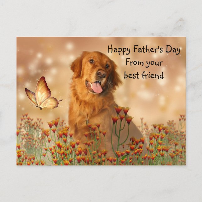 Carte Postale Fête des pères Golden Retriever (Devant)