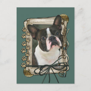 Carte Postale fête des pères - Pierres - Boston Terrier