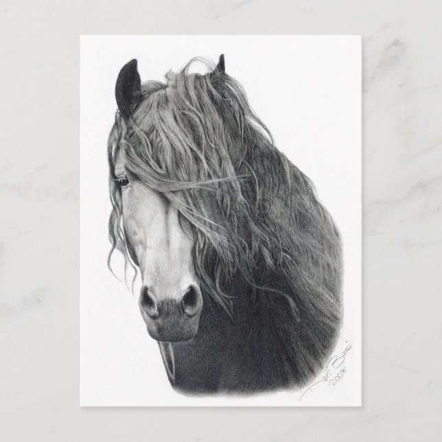 Carte Postale Feu (Devant)