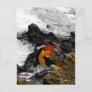 Carte Postale Feu dans la mer