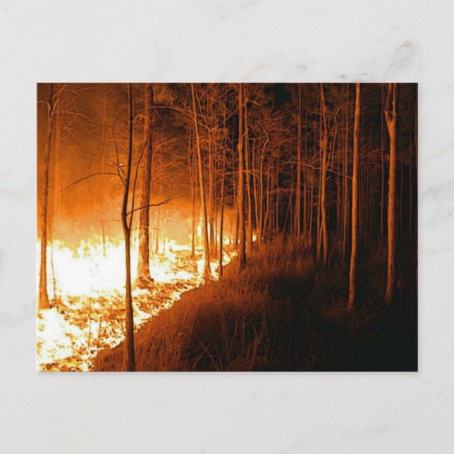 Carte Postale Feu de feu (Devant)