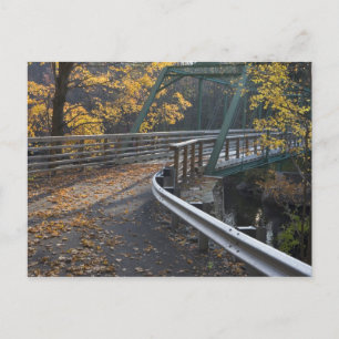 Carte Postale Feuillage d'automne et pont au-dessus des Millers