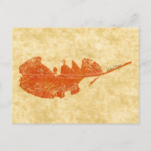 Carte postale Feuille brisée n° 1